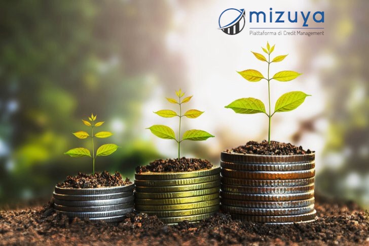 Credit Manager Mizuya: Il risparmio: 